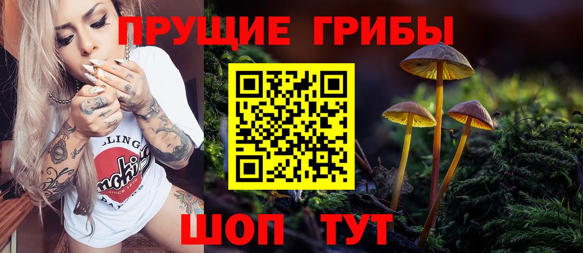 где купить наркоту  Галлюциногенные грибы прущие грибы  Вход с VPN  Королёв 