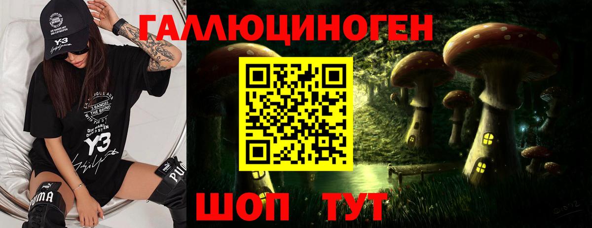 Галлюциногенные грибы Psilocybine cubensis Королёв